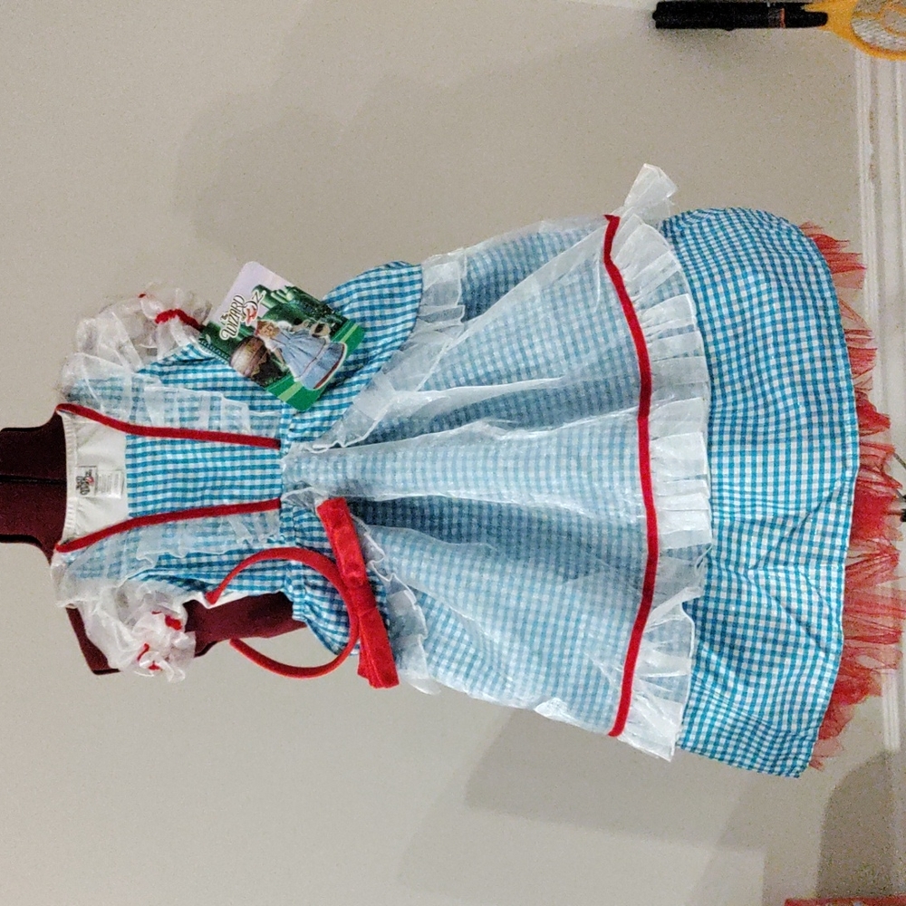 Dorothy from The wizard of Oz costume